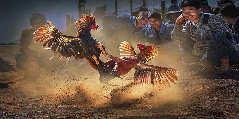 choang club đăng nhập roulette số 1