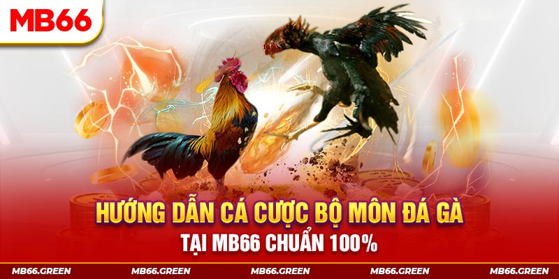 choang club xổ số bình định