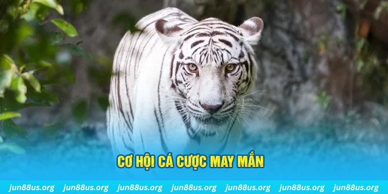 choang club hết slot la gì