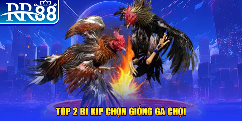 choang club đăng nhập poker số 1