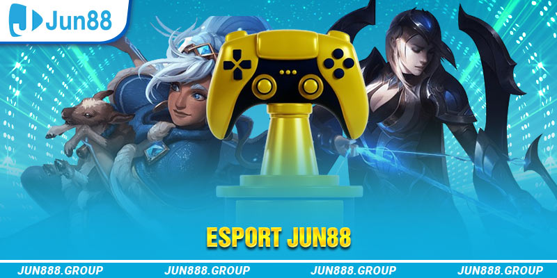 choang club Trăm Knorr