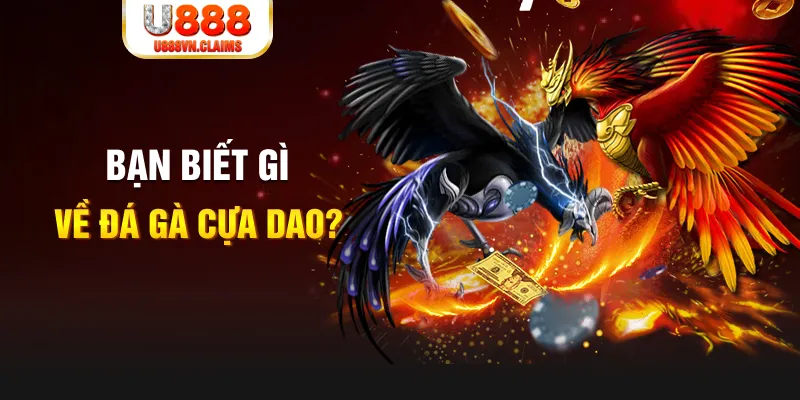 choang club xổ số kiến thiết