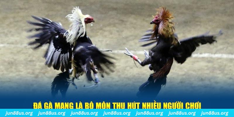 choang club xổ số cà mau