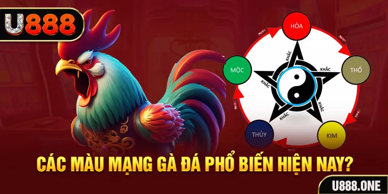 choang club đăng nhập mậu binh