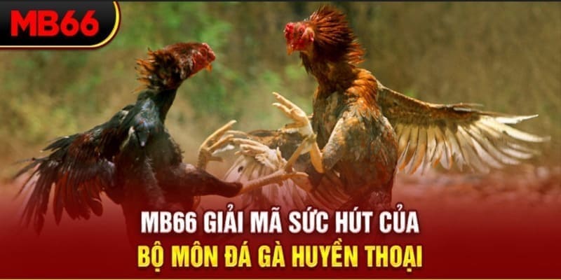 choang club Phi Đội Ưu Tú