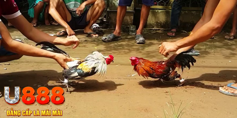choang club đăng nhập mậu binh rút tiền nhanh