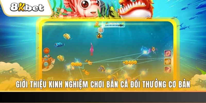 choang club xổ số miền bắc thứ năm hàng tuần