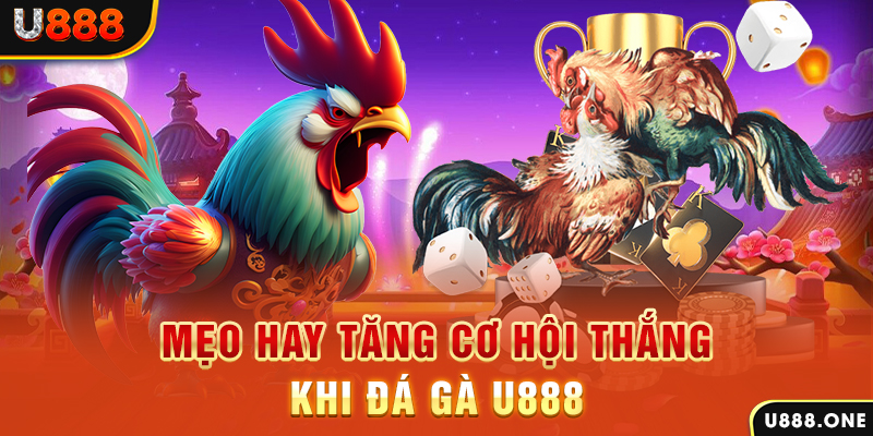 choang club trực tiếp gà chọi c1