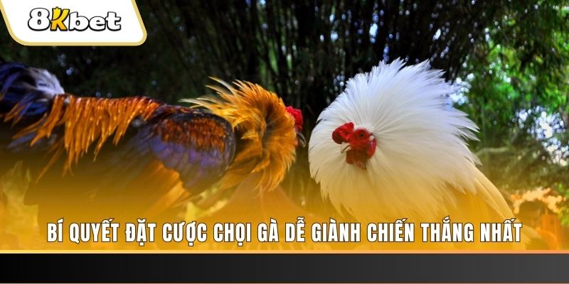 choang club Tài Xỉu 2