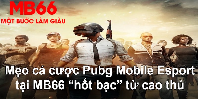 choang club gà chọi mộc hóa