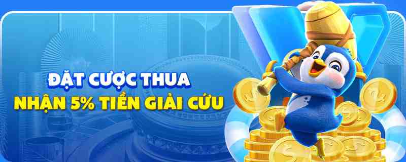 choang club gà chọi cu cần