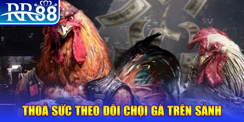 choang club đá gà 88.com