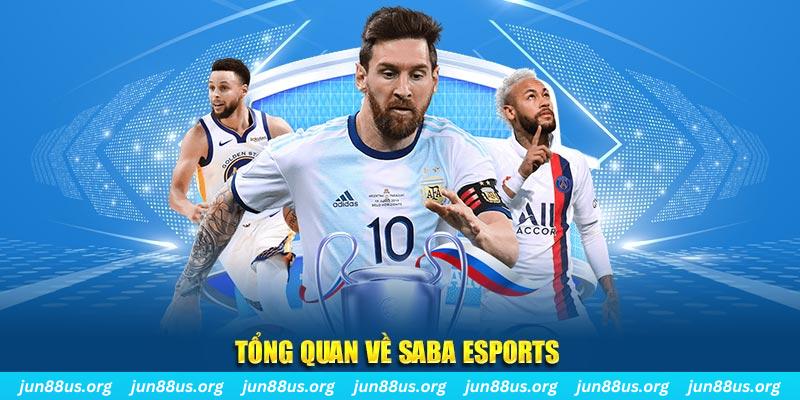 choang club gà chọi c1 tv trực tiếp hôm nay