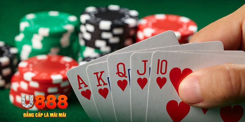 choang club trực tiếp đá gà
